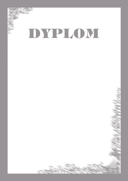 Dyplom - O.Papiernia SILVER - 190 g/m² - 25 sztuk