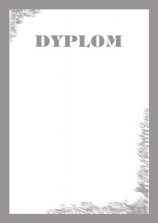 Dyplom - O.Papiernia SILVER - 190 g/m² - 25 sztuk
