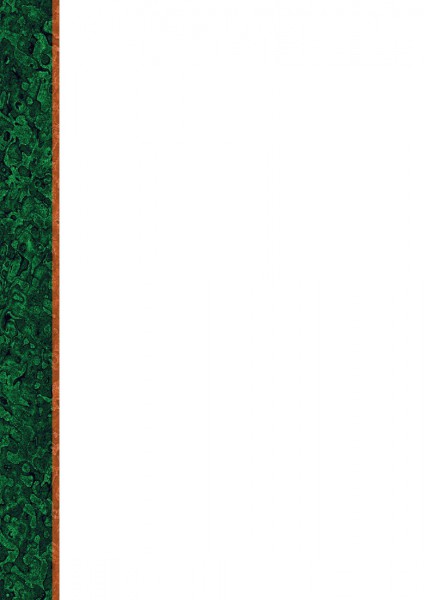 Dyplom - O.Papiernia STANDARD 1 - 110 g/m² - 25 sztuk