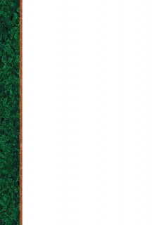 Dyplom - O.Papiernia STANDARD 1 - 110 g/m² - 25 sztuk