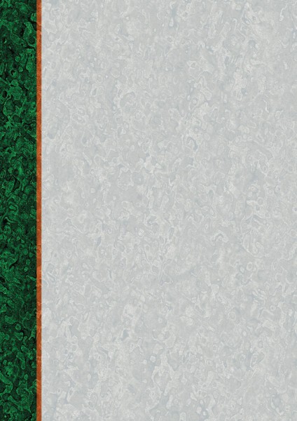 Dyplom - O.Papiernia STANDARD 2 - 110 g/m² - 25 sztuk