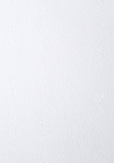 Papier ozdobny - O.Papiernia FLORA - 230 g/m² - 20 sztuk