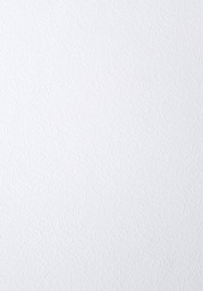 Papier ozdobny - O.Papiernia FLORA - 120 g/m² - 50 sztuk - biały