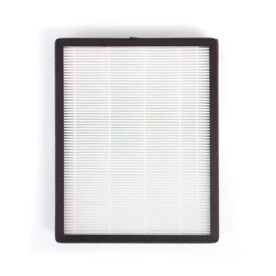 Filtr HEPA do Coway APMS-0815C Hue&Healing