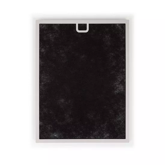 Filtr funkcyjny podwójny węglowy do Coway Airmega 300S