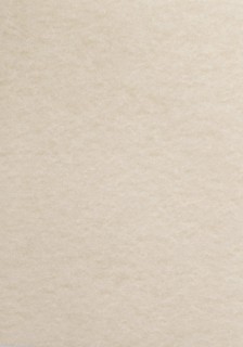 Papier ozdobny - O.Papiernia MARINA - 90 g/m² - 25 sztuk - kremowy