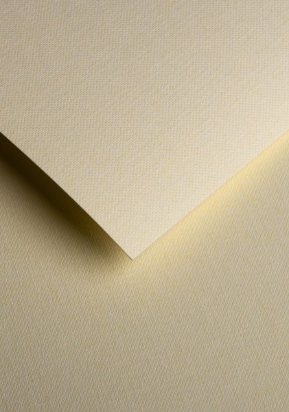 Papier ozdobny Papier ozdobny - O.Papiernia PLECIONY - 230 g/m² - 20 sztuk - kremowy